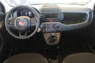 FIAT Panda usata, con Park Distance Control