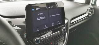 FORD Fiesta usata 55