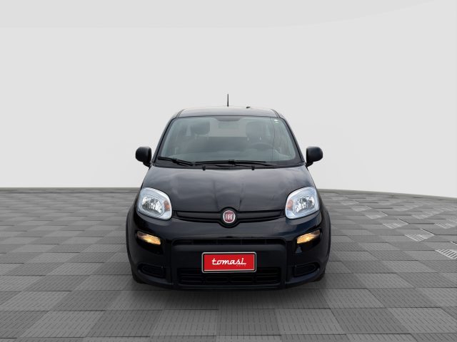 FIAT Panda usata 7