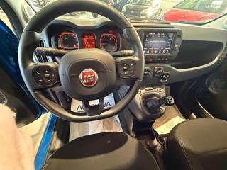 FIAT Panda Cross usata, con Airbag testa