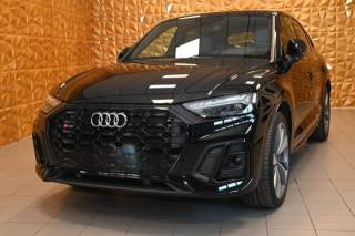 AUDI SQ5 usata 115