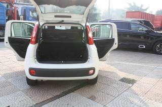 FIAT Panda usata 14