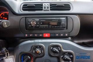 FIAT Panda usata 24