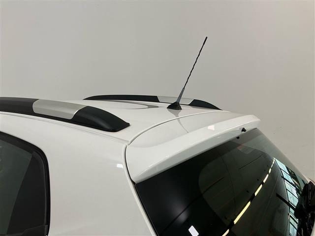 DACIA Spring usata 19