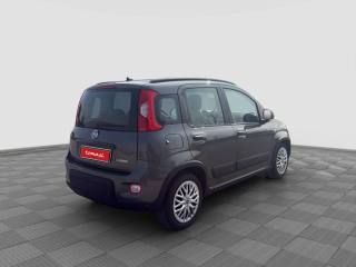 FIAT Panda usata 5