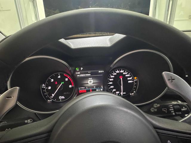 ALFA ROMEO Stelvio usata, con Fendinebbia