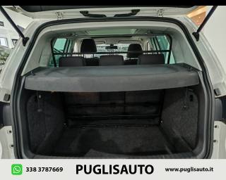 VOLKSWAGEN Tiguan usata 22