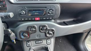 FIAT Panda usata, con Cronologia tagliandi