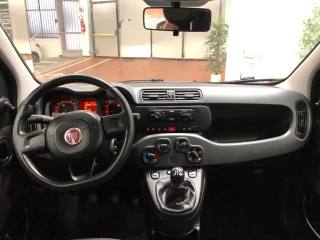 FIAT Panda usata 12