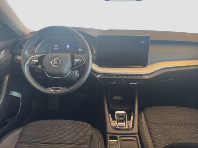 SKODA Octavia usata 11