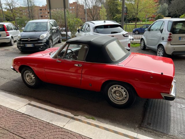 ALFA ROMEO Spider usata 12