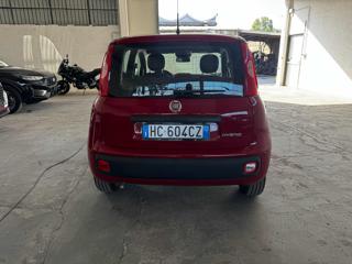 FIAT Panda usata, con Cerchi in lega