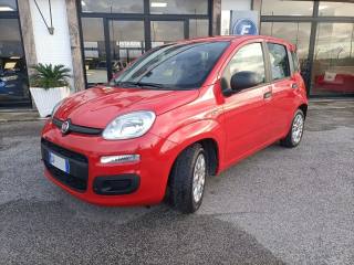 FIAT Panda usata, con Airbag Passeggero