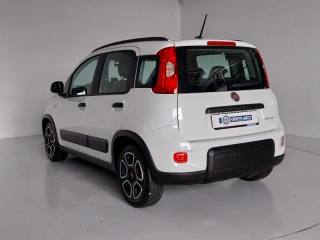 FIAT Panda usata, con Immobilizzatore elettronico