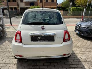 FIAT 500 usata 5