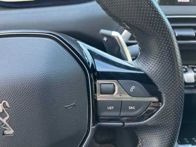 PEUGEOT 3008 usata 19