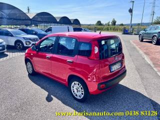 FIAT Panda usata, con Alzacristalli elettrici