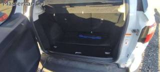 FORD EcoSport usata, con Cruise Control