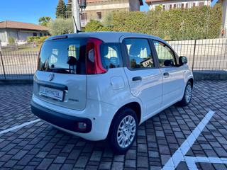 FIAT Panda usata, con Alzacristalli elettrici