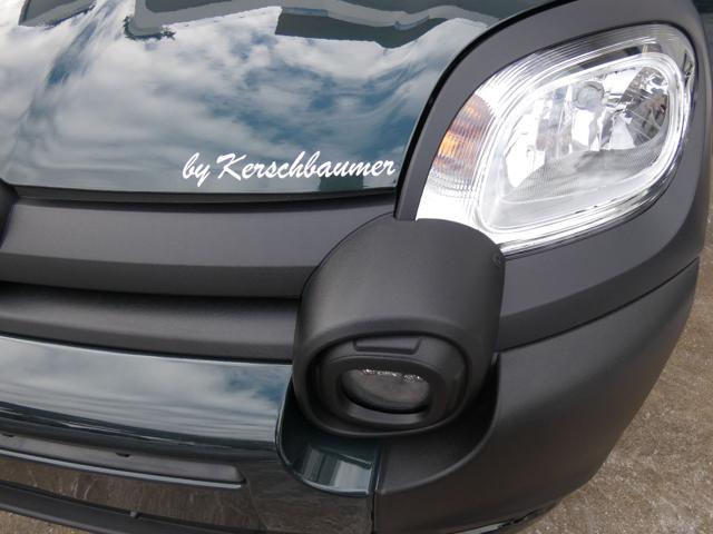 FIAT Pandina usata, con Sedile posteriore sdoppiato