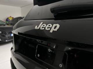 JEEP Avenger usata, con Cronologia tagliandi