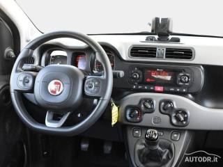 FIAT Panda usata 26