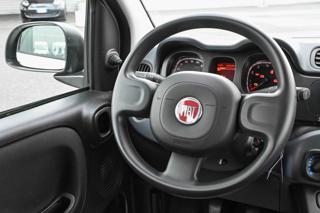 FIAT Panda usata 19