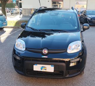 FIAT Panda usata, con Alzacristalli elettrici