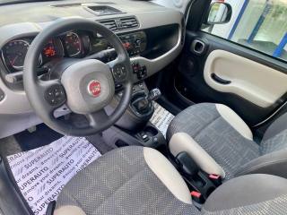 FIAT Panda usata, con Controllo trazione