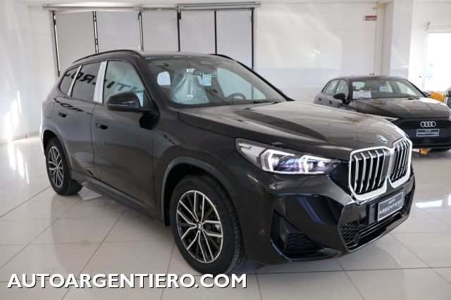 BMW X1 usata, con Limitatore di velocità