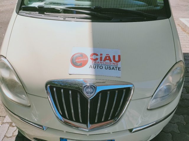 LANCIA MUSA usata 18