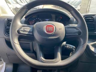 FIAT Ducato usata, con Bracciolo
