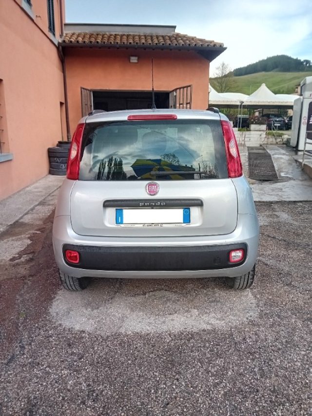 FIAT Panda usata, con Controllo trazione