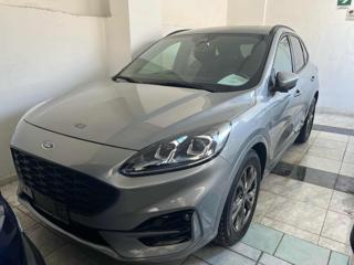FORD Kuga ST-Line 1.5 EcoBlue 120 CV 2WD