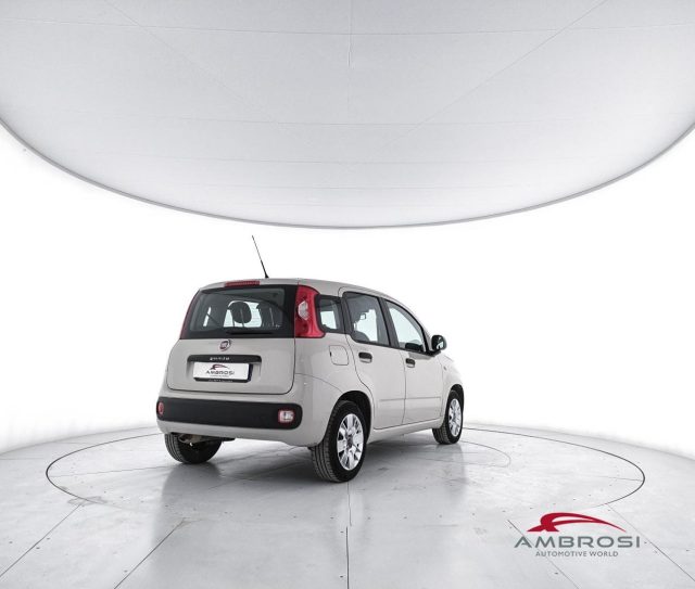 FIAT Panda usata 2