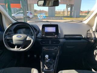 FORD EcoSport usata, con Cronologia tagliandi