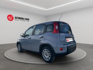 FIAT Panda usata, con Airbag Passeggero