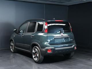 FIAT Panda Cross usata, con Antifurto