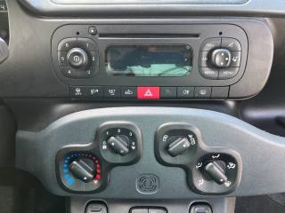 FIAT Panda usata 13