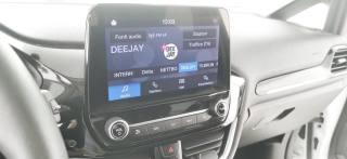 FORD Fiesta usata 65
