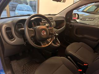 FIAT Panda usata 17