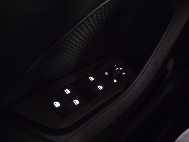 SKODA Octavia usata 32