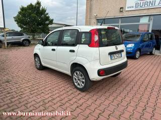 FIAT Panda usata, con Climatizzatore