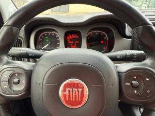 FIAT Panda Cross usata, con Climatizzatore