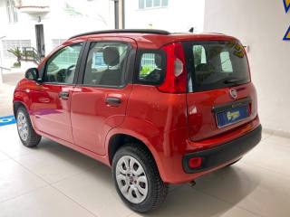 FIAT Panda usata, con Airbag Passeggero
