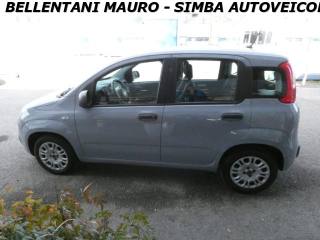 FIAT Panda usata, con Controllo trazione