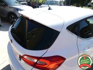 FORD Fiesta usata, con Ski bag