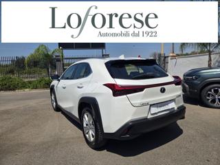 LEXUS UX 250h usata, con Airbag laterali