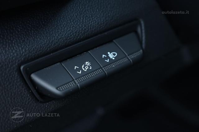 RENAULT Trafic usata 39
