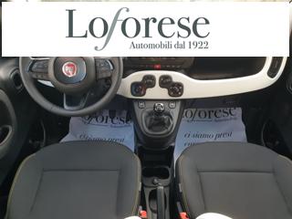 FIAT Pandina usata, con Immobilizzatore elettronico